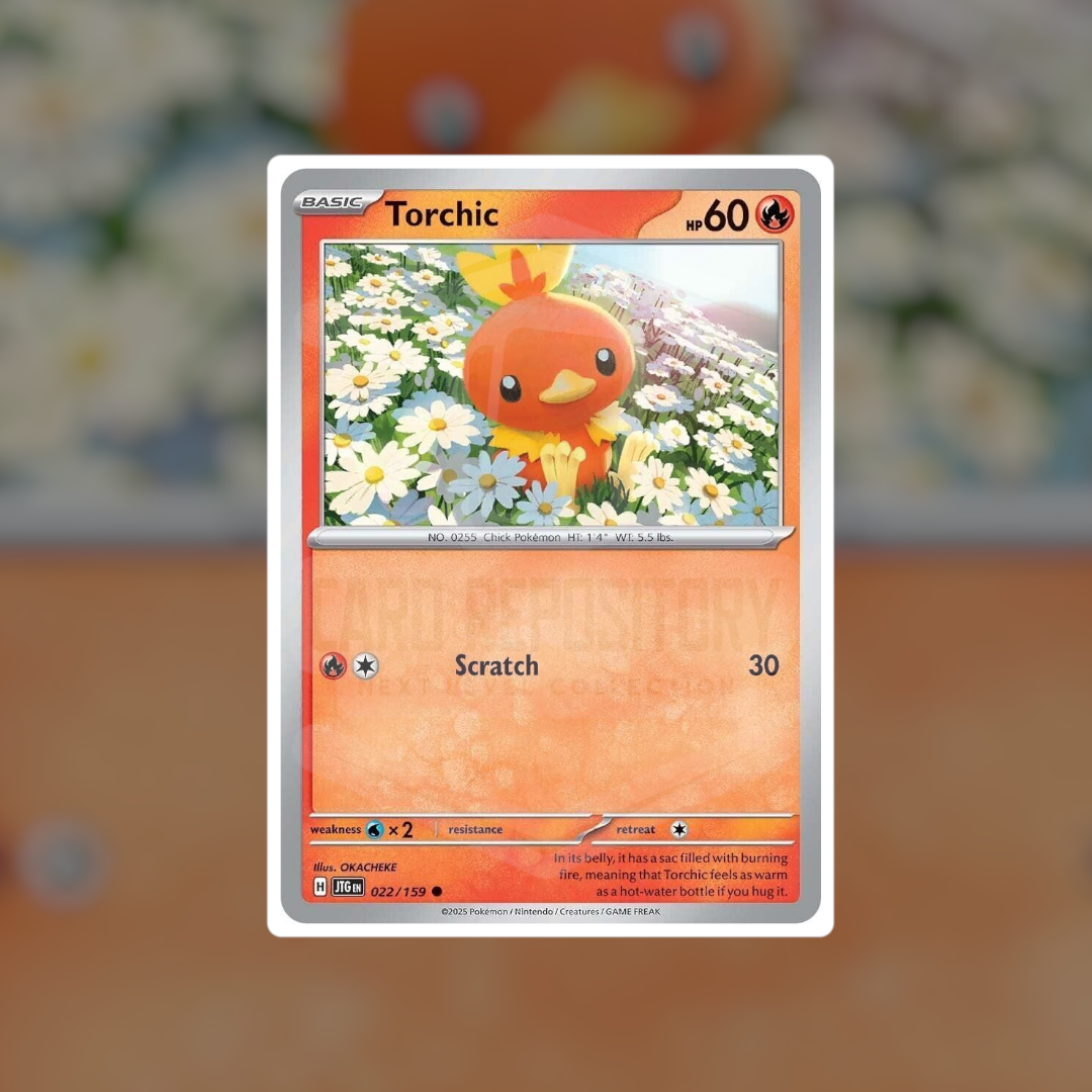 Torchic #22 (NM-LP) | Pokemon Singles | Playables