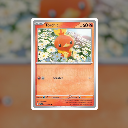 Torchic #22 (NM-LP) | Pokemon Singles | Playables